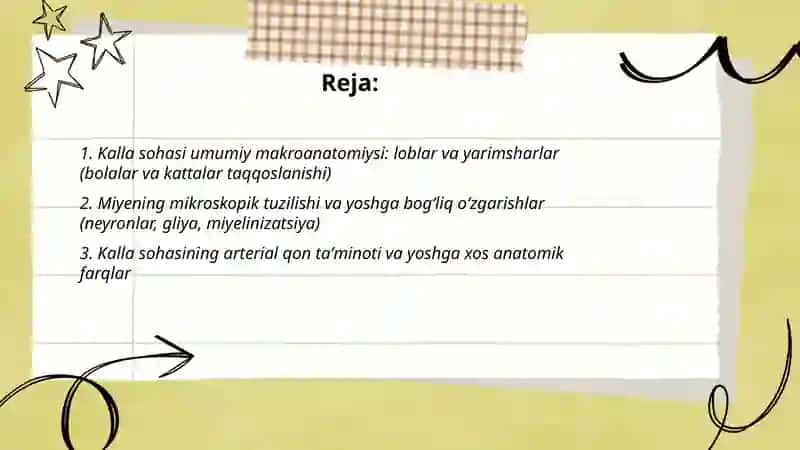Bolalar va kattalarda kalla sohasi miya qismining klinik anatomiyasi 2
