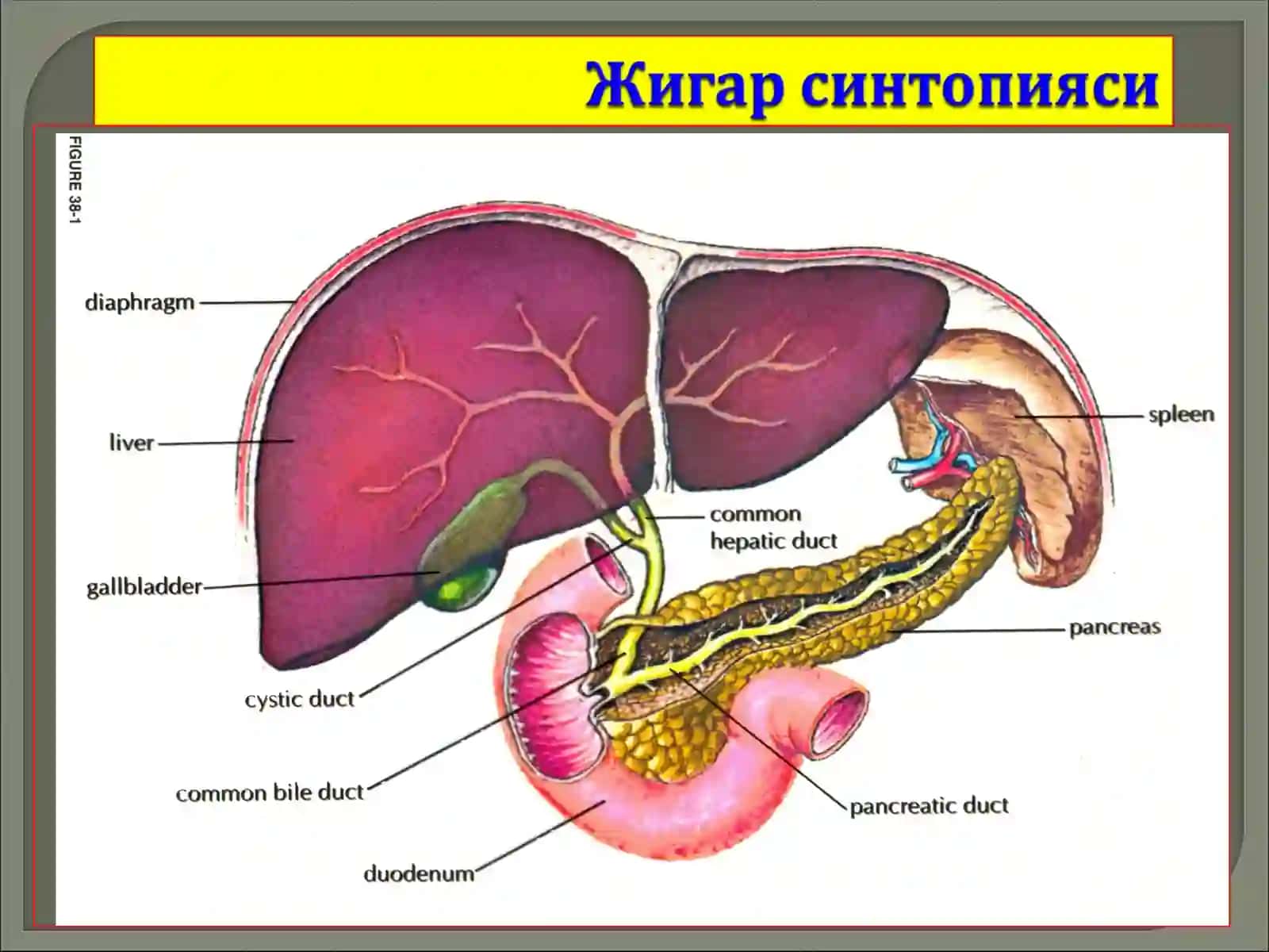 Жароҳатлар турига қараб 2