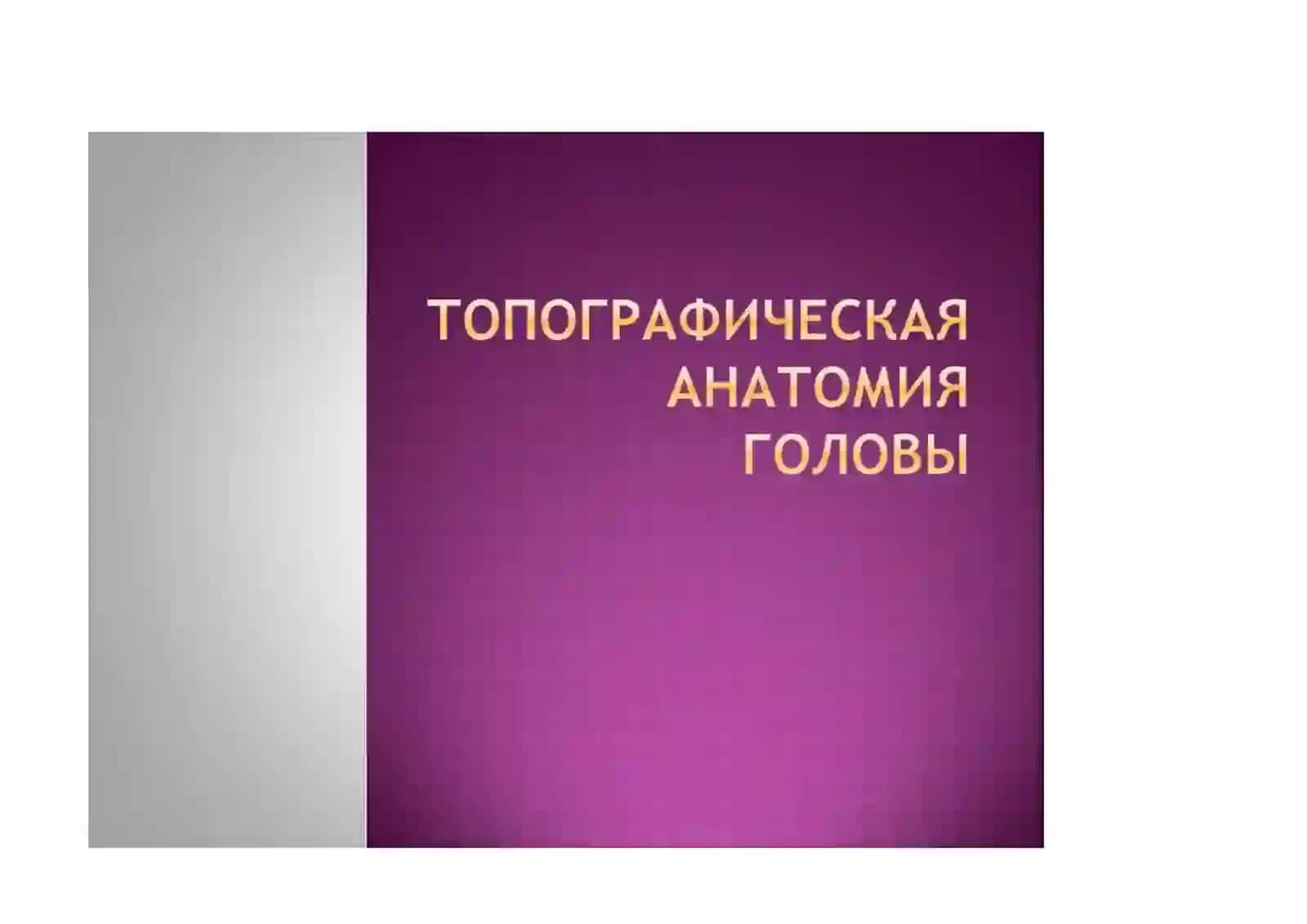 БОЛАЛАР ВА КАТТАЛАРДА КАЛЛА СОҲАСИ ЮЗ ҚИСМИ КЛИНИК АНАТОМИЯСИ 2