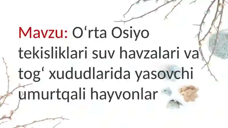Umurtqalilar Zoologiyasi 2