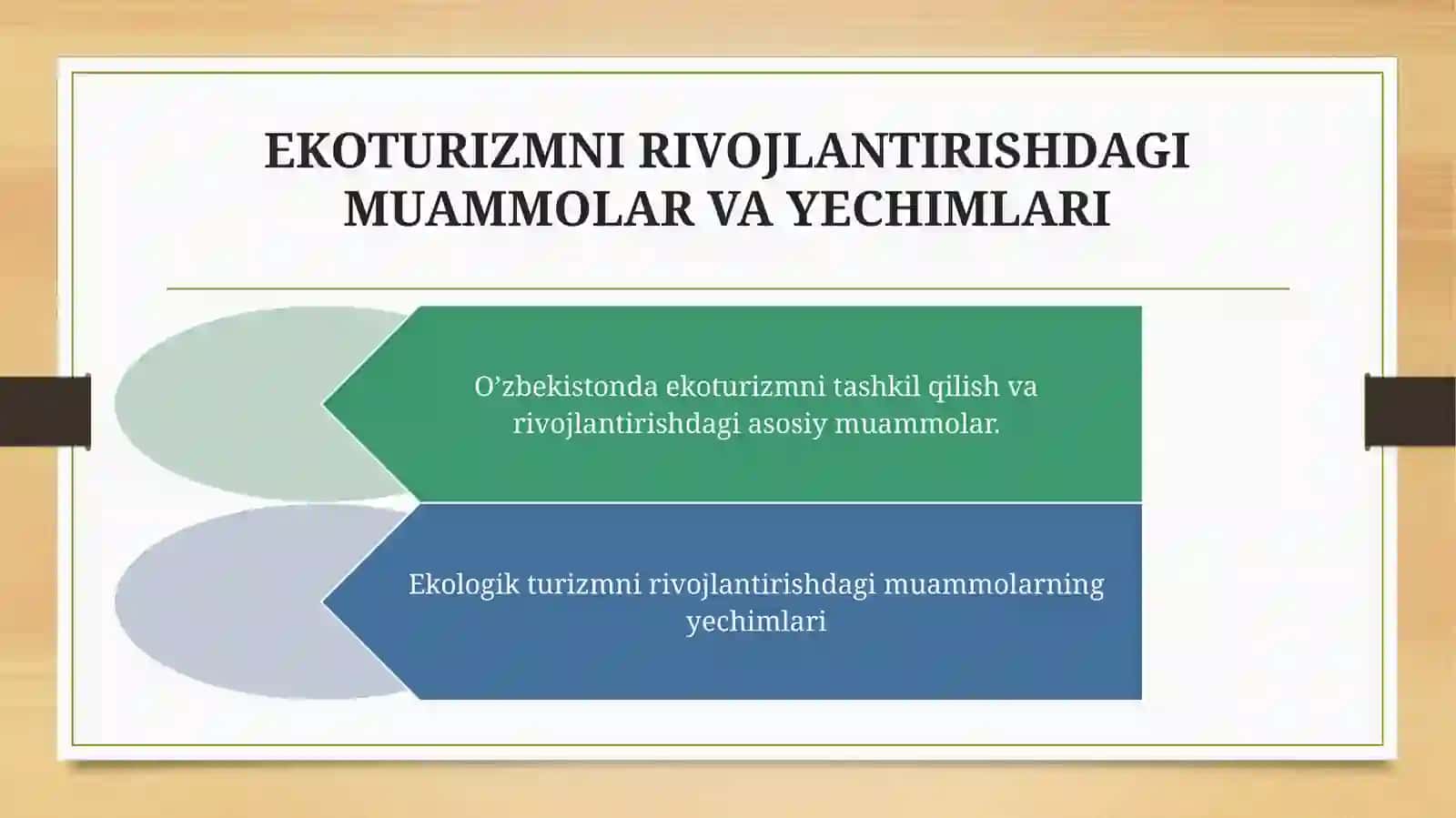 Ekoturizmni Rivojlantirishdagi Muammolar va Yechimlari 2