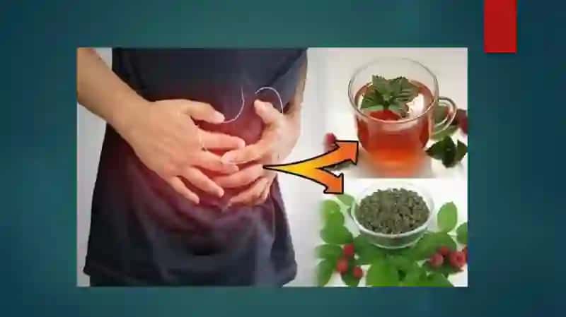 Fermentlar 2