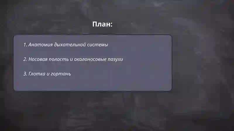 дыхателрая система 2