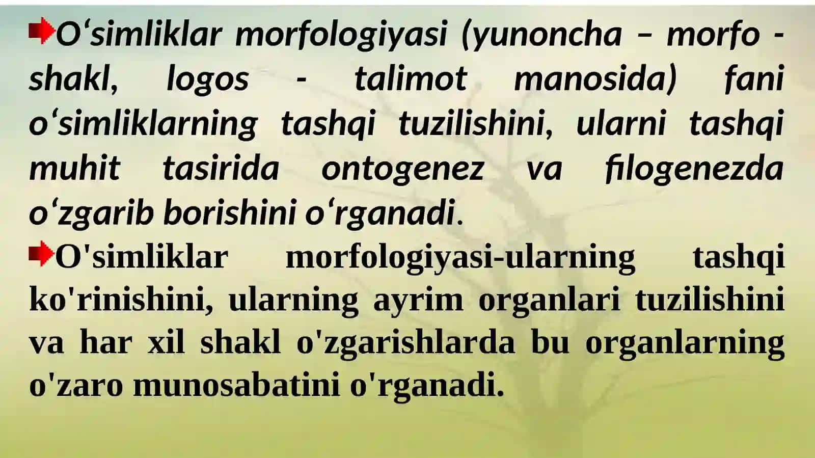 O‘simliklar morfologiyasi, qonuniyatlari va ularni qishloq xo‘jaligidagi ahamiyati 2