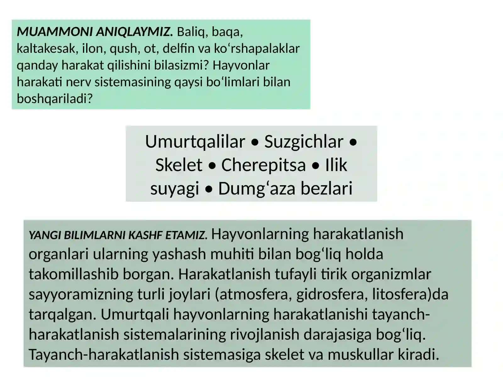 UmurtqalilarNING TAYANCH-HARAKAT ORGANLARI 2