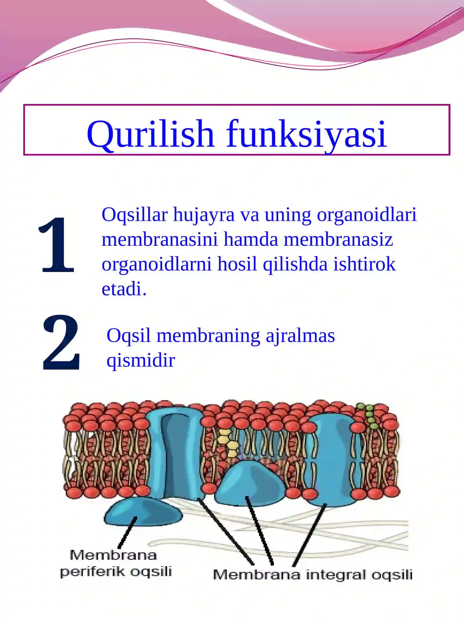 Abduraimova Shahzodaning Biokimyofanidan Mustaqilishi 2