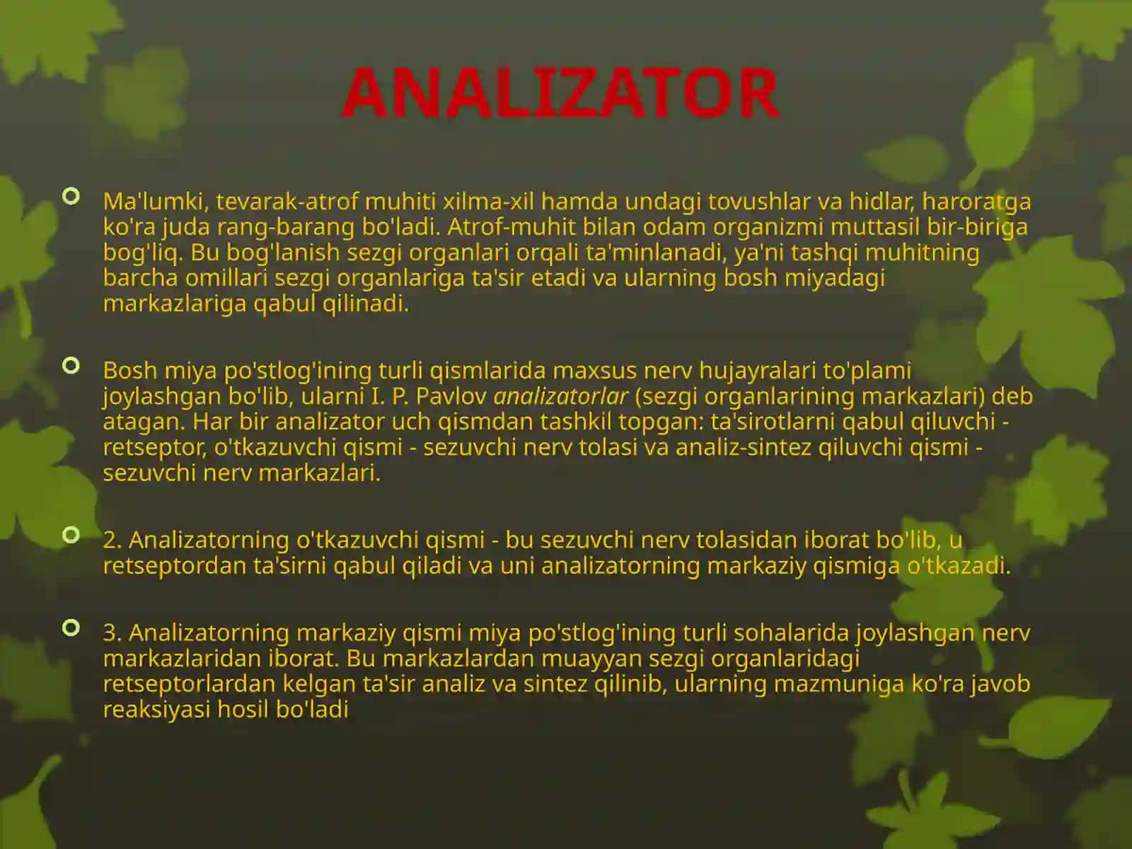 ANALIZATOR 2