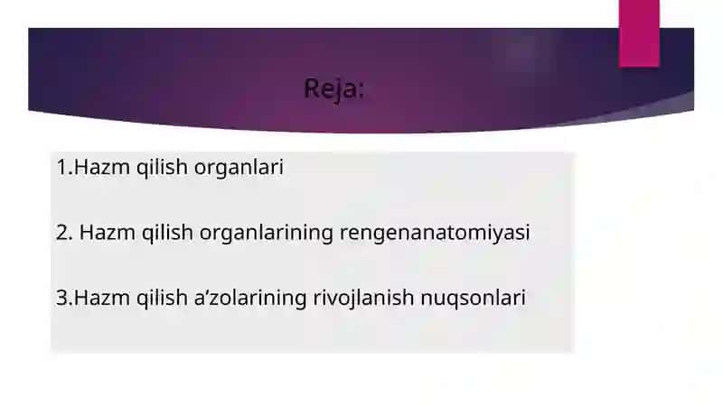 Hazm a’zolarining rengenanatomiyasi va rivojlanish nuqsonlari 2