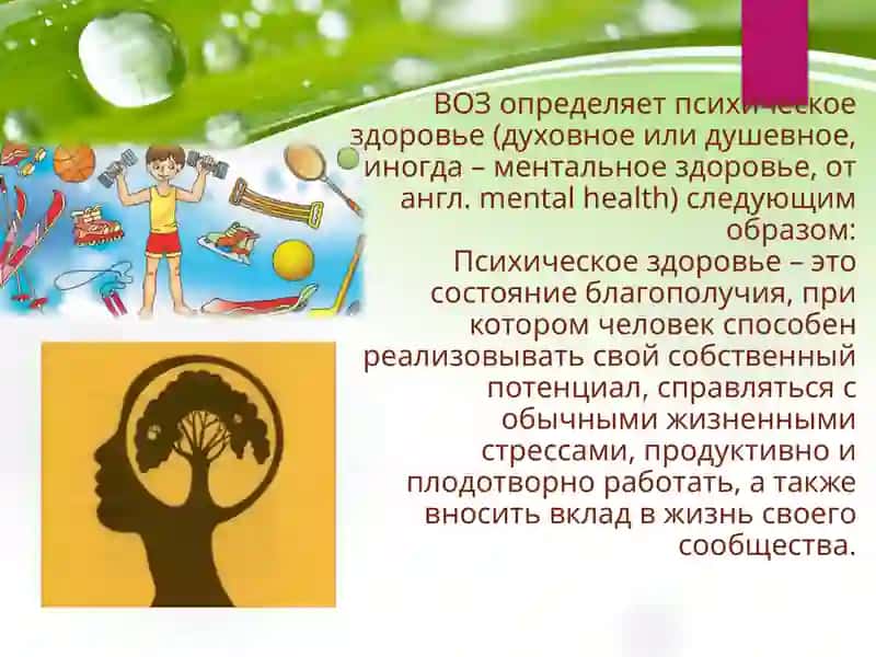 Психическое здоровье человека как один из факторов здорового образа жизни. Режим дня и здаровье человека 2