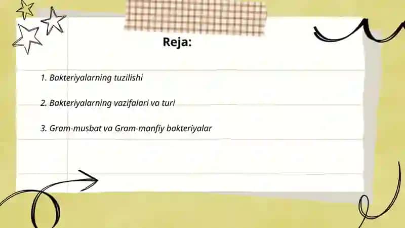 Bakteriyalar 2