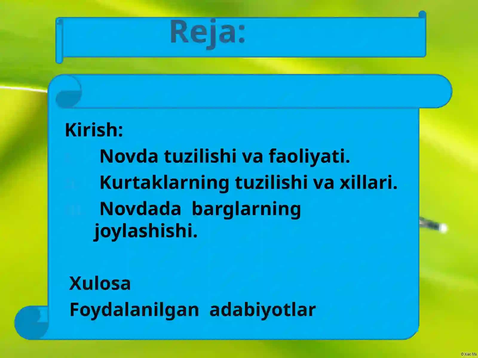 NOVDA.KURTAKLAR. NOVDADA BARGLARNING JOYLASHISHI 2