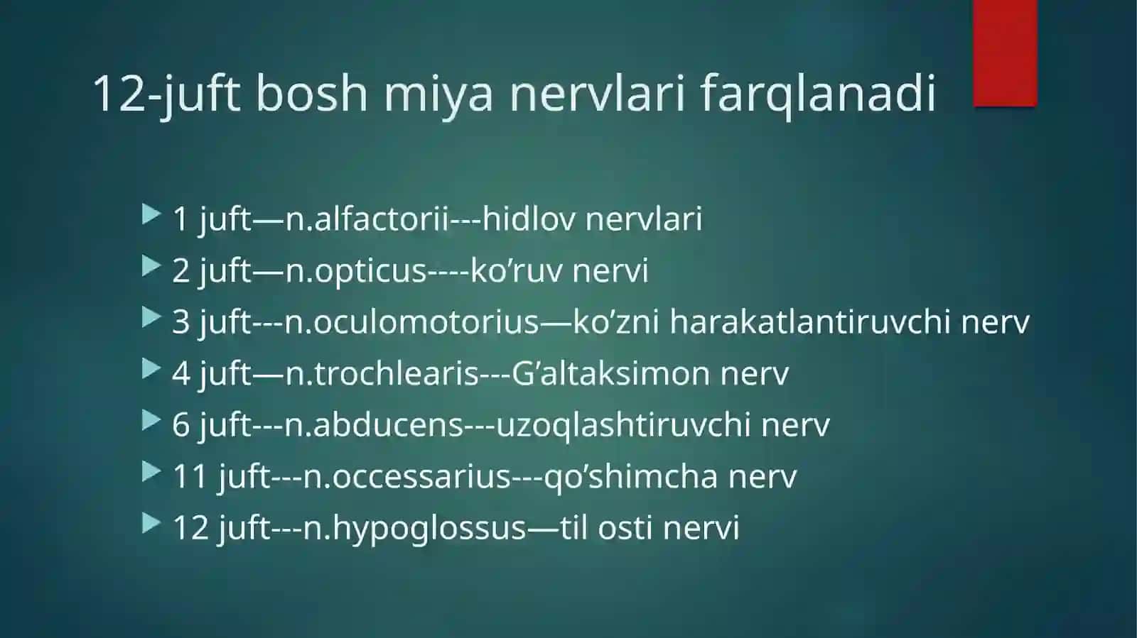 Nervic raniales Anatomical 2