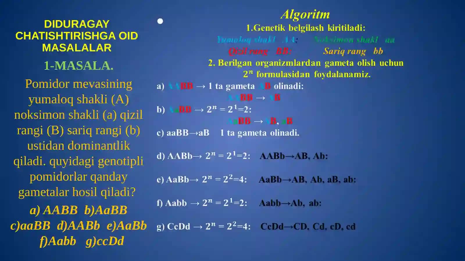 MASALA. Pomidor mevasining genetikasi 2