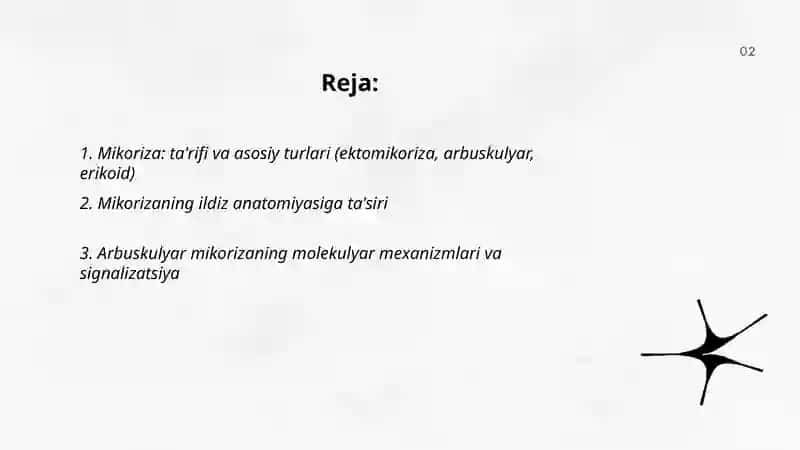 Mikoriza va ildiz metomorfozi 2