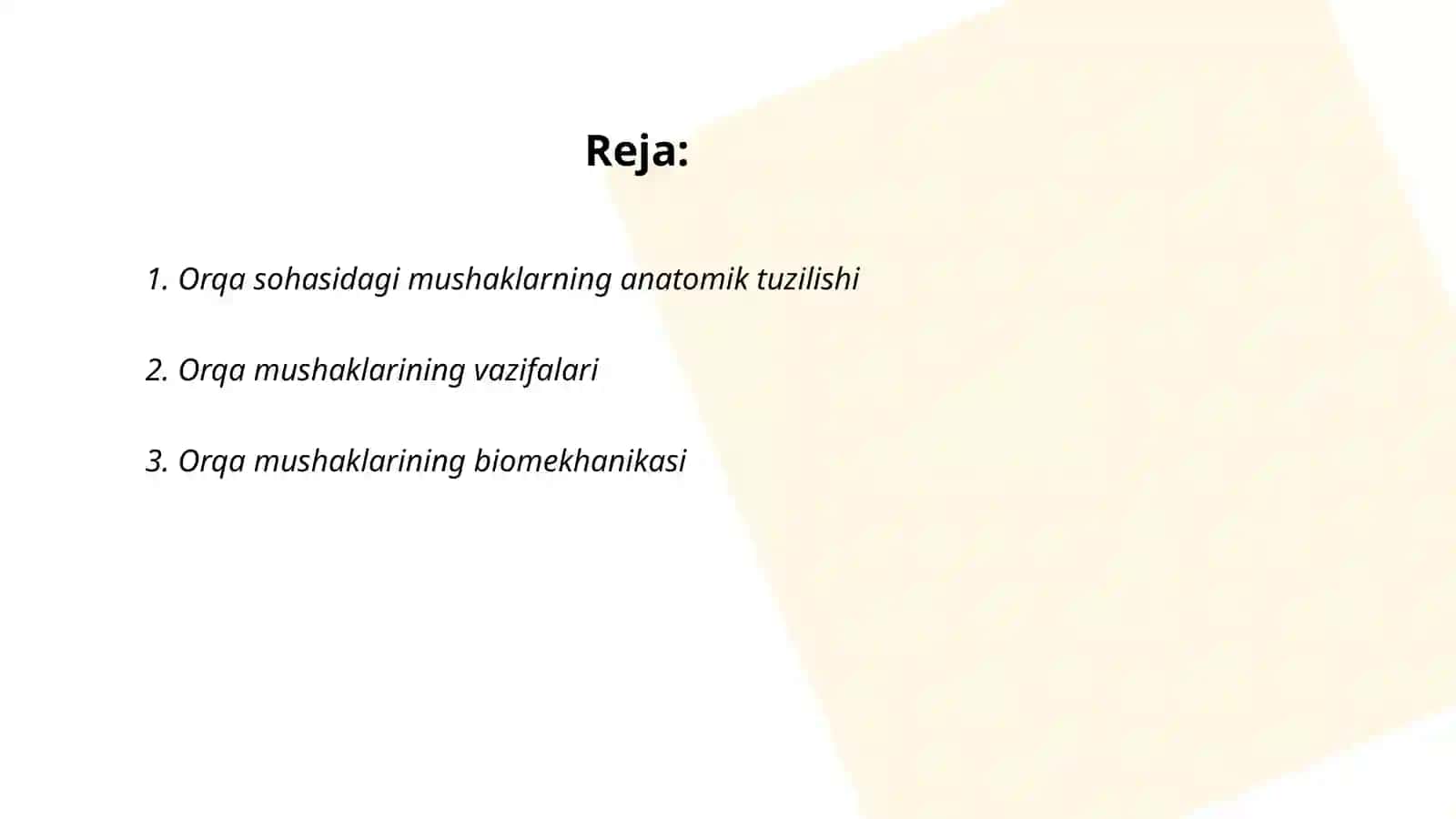 Tananing orqa sohasidagi mushaklar va fatsiyalar 2