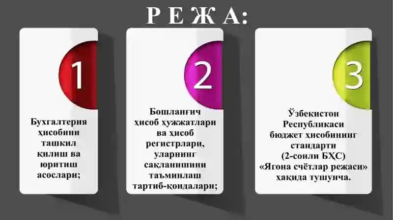 Бюджет ҳисоби стандартларига мувофиқ бухгалтерия ҳисобини ташкил қилиш ва юритиш тартиб-қоидалари 2