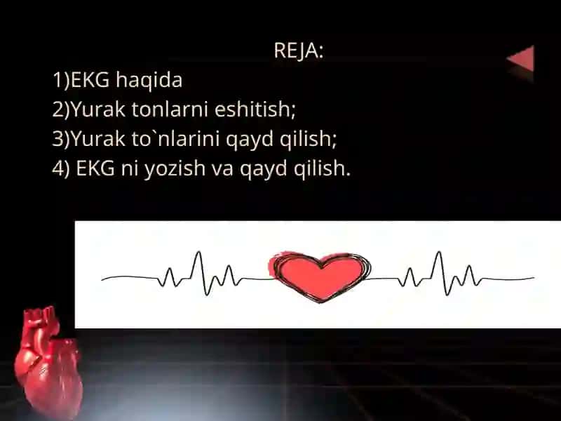 Yurak faoliyatini tekshirish usullari. Elektrokardiografiya 2