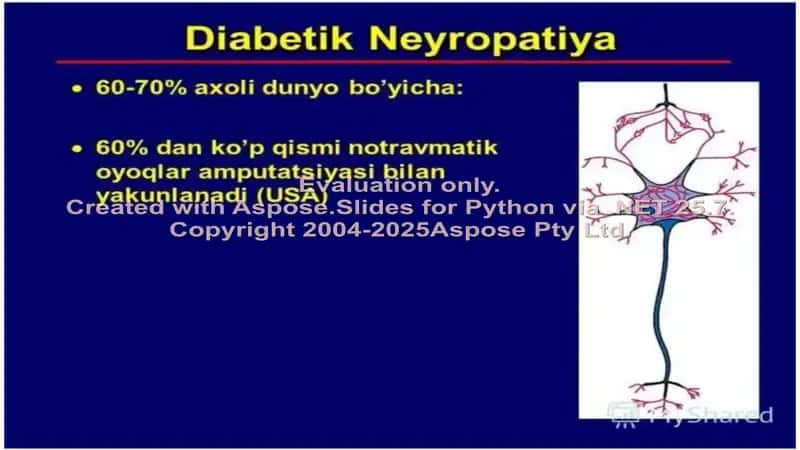 Diabetik neyropatiya 2