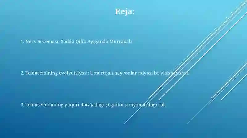 Hayvonlarda asab tizimining rivojlanishi va umurtqali hayvonlarda telensefalonning rivojlanishi 2