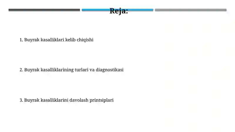 Buyrak kasalliklari, kelib chigishi. davolash prinsiplari 2