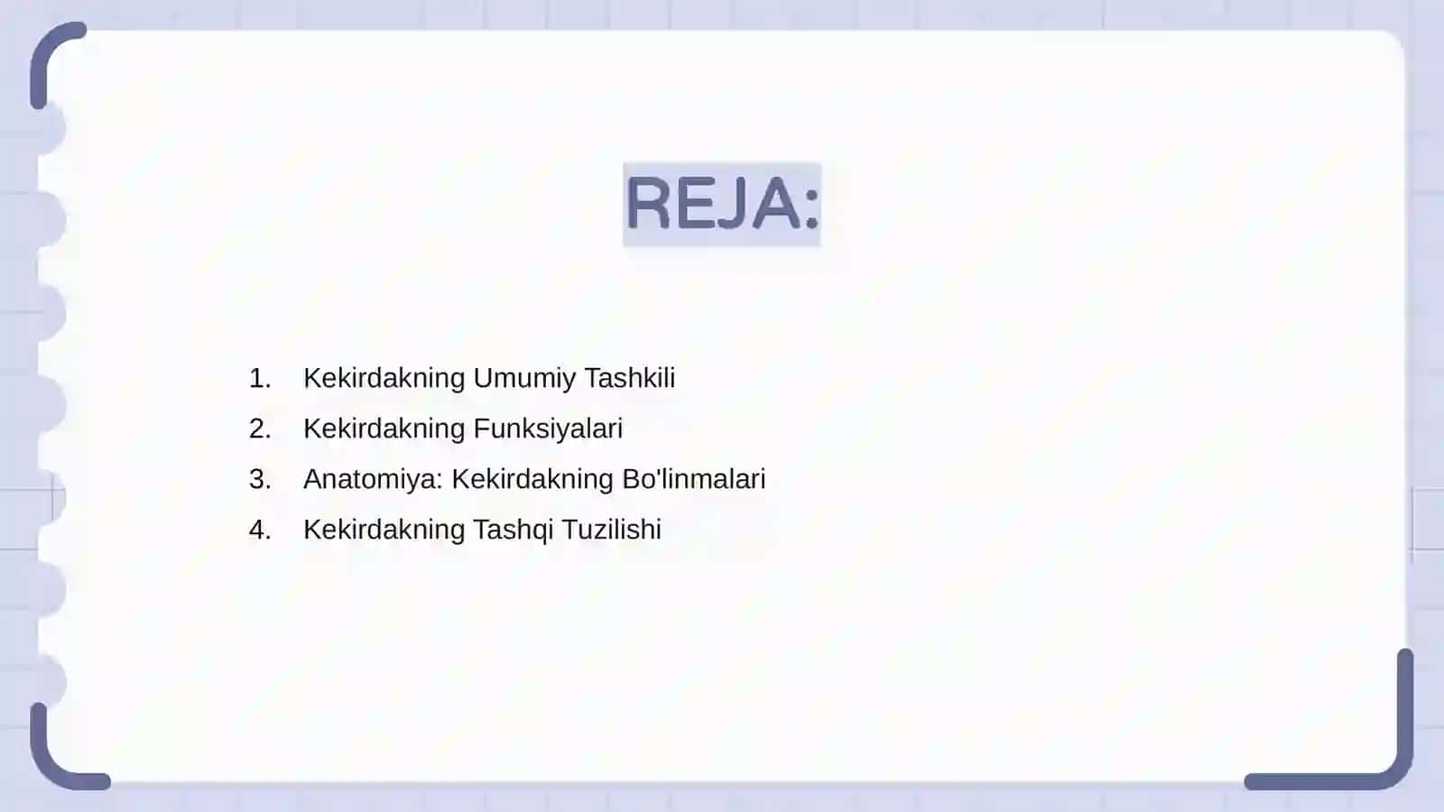 Kekirdak (trachea) 2