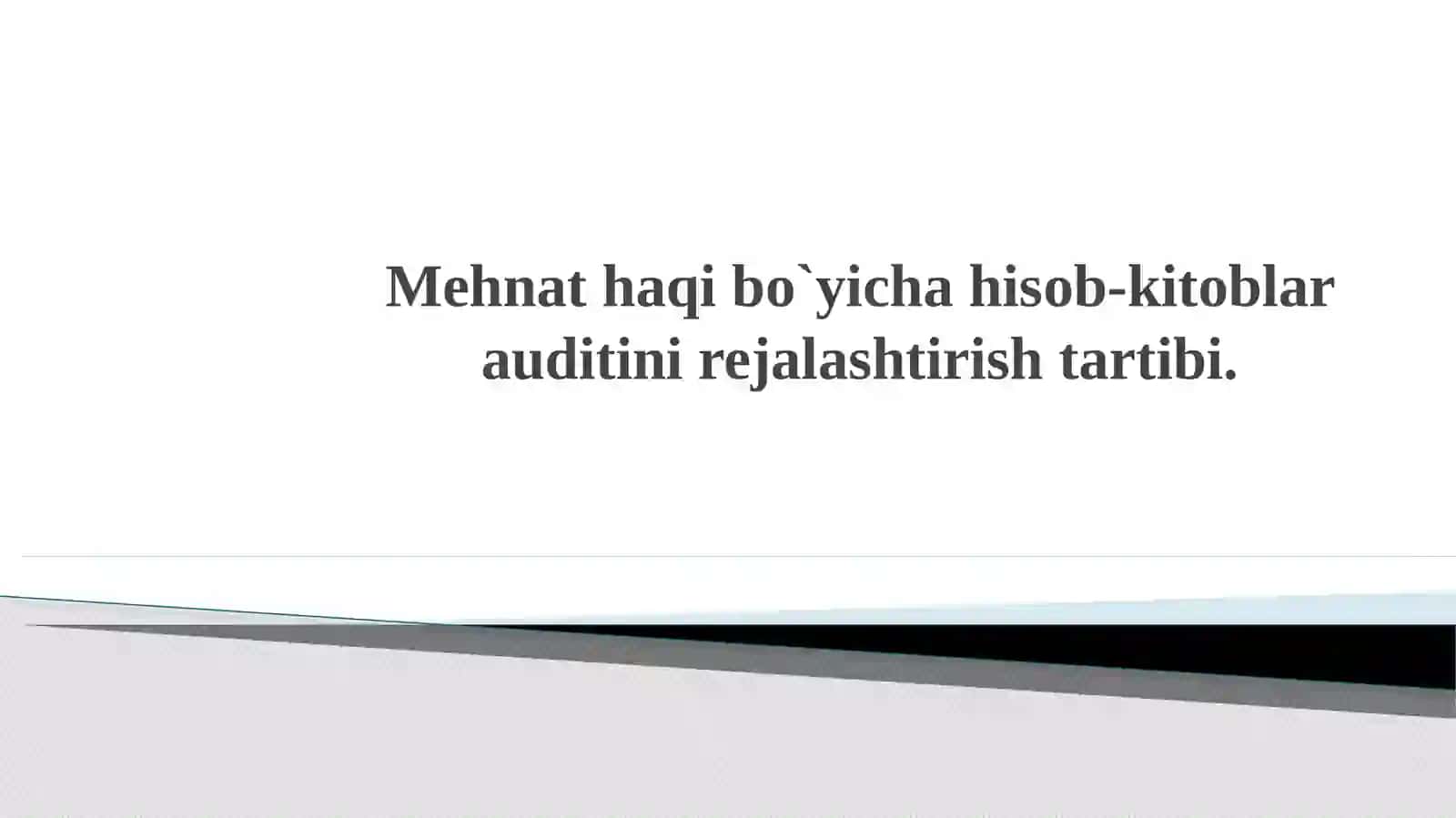 Mеhnathaqibo`yichahisоb-kitоblarauditinirejalashtirishtartibi 2