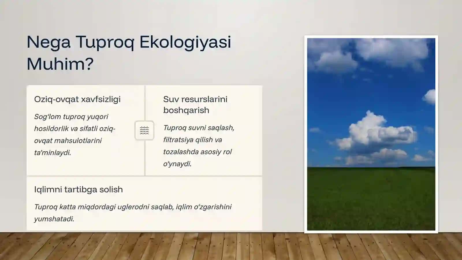 Tuproq ekalogiyasi 2