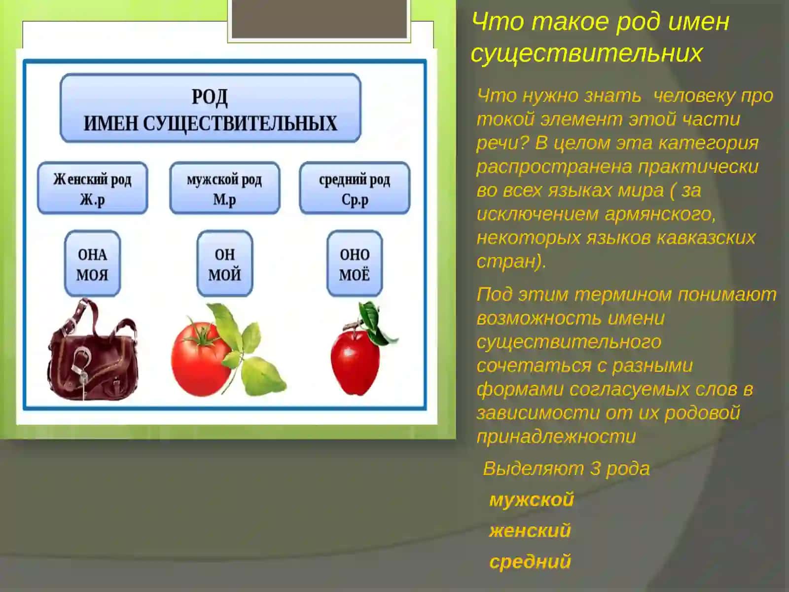 Определение родаименсуществительных значению и окончанию 2