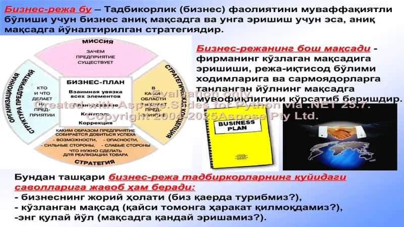 Kichik biznes va xususiy tadbirkorlik sub’ektlarini biznes rejasi 2