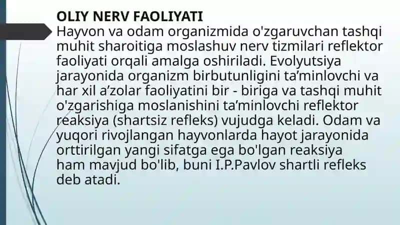 OLIY NERV FAOLIYATI 2