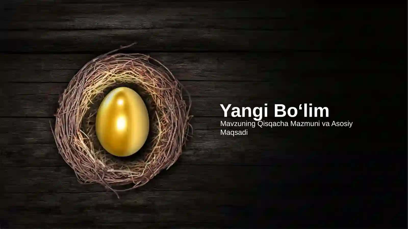 Small Nest Golden Egg Taqdimoti (43 Slayd) 2