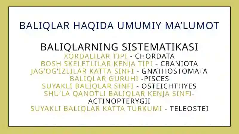 Baliqlarning kasalliklari 2