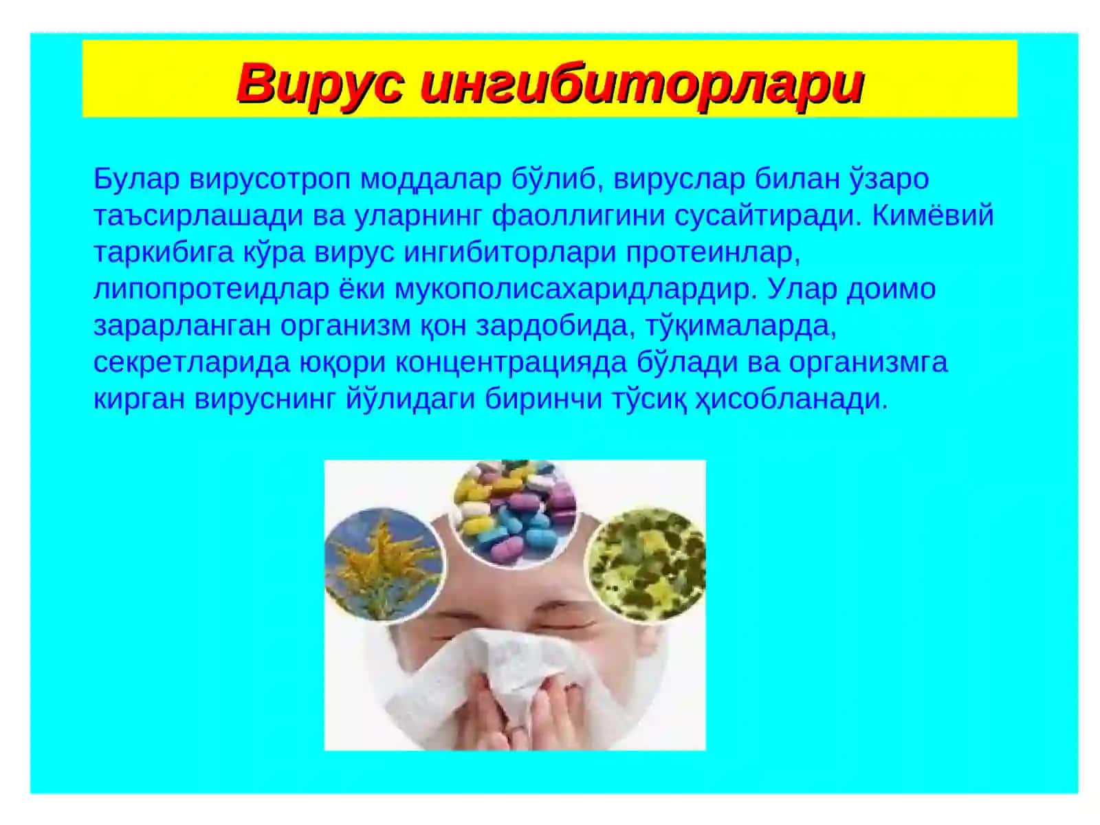 Вирус ингибиторлари 2