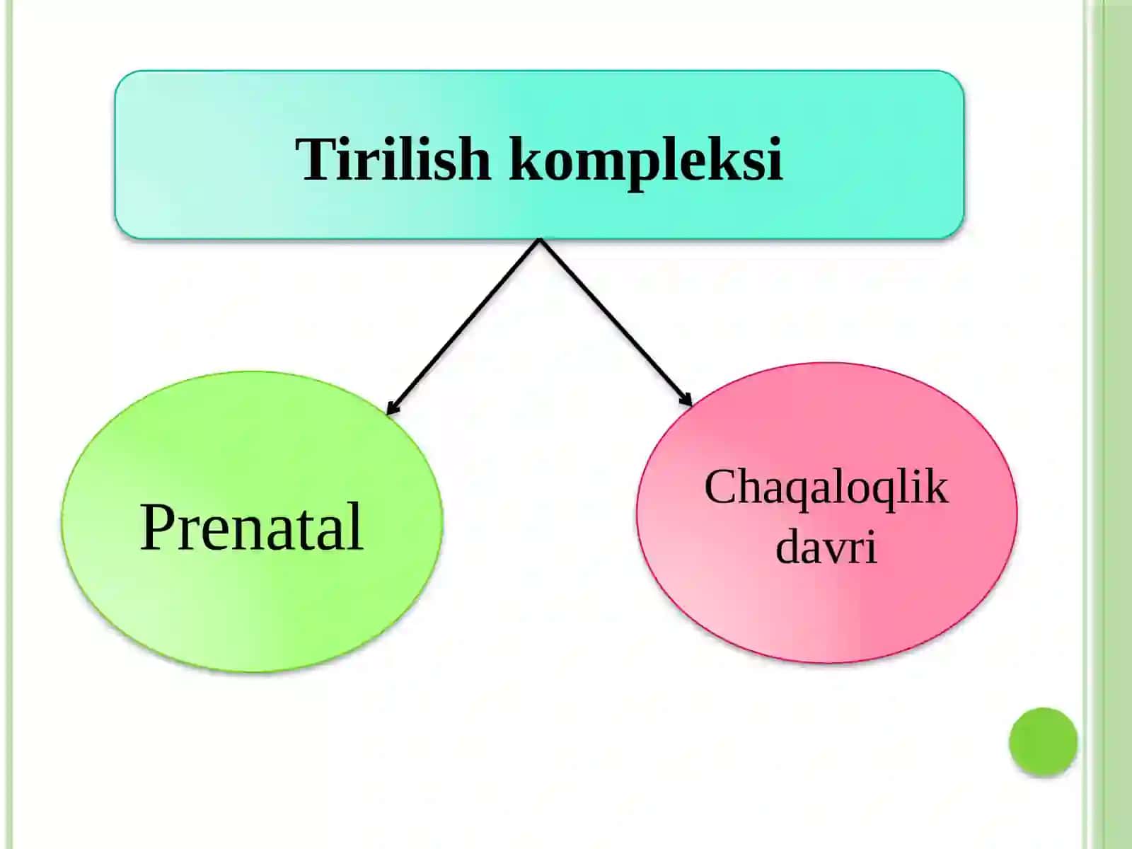 Tirilishkompleksi 2