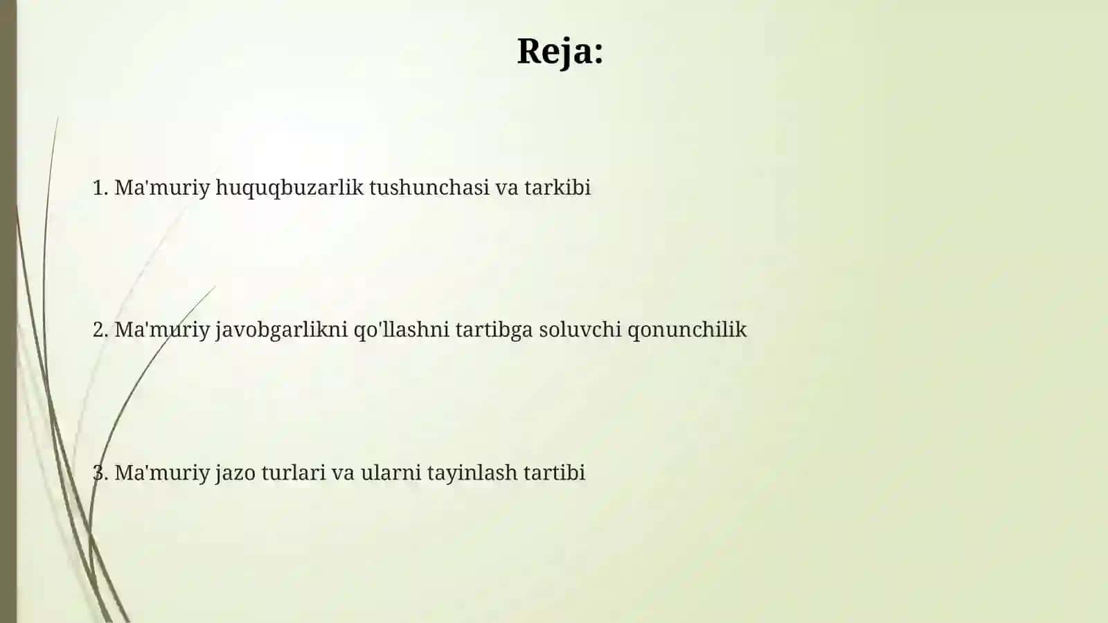 Ma’muriy javobgarlikni qo‘llash asoslari 2