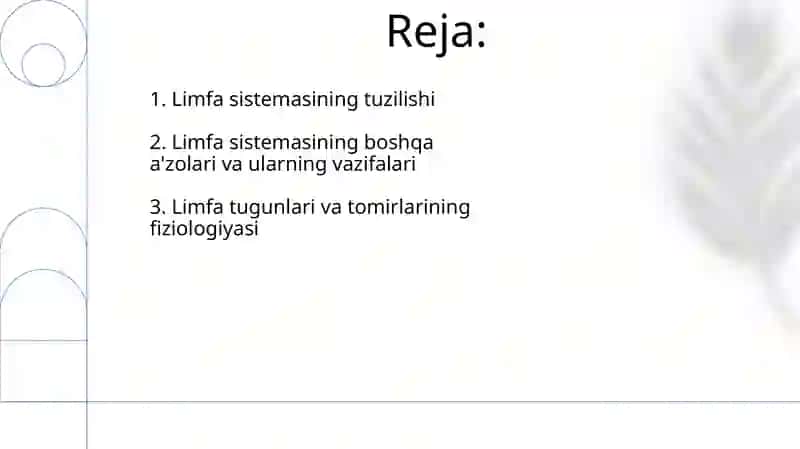 Ayirish tizimiga kiruvchi azolarning tuzilishi fiziologiyasi 2
