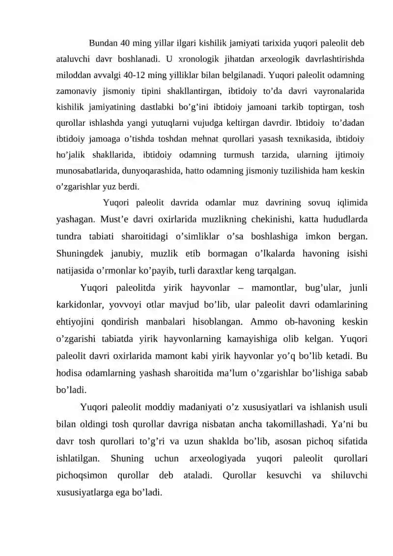 Yuqori paleolit davri 2