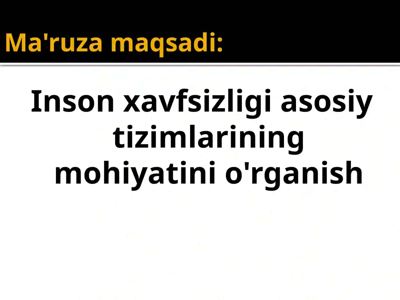 Inson xavfsizligi tizimlari 2