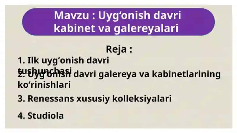 Uyg‘onish davri kabinet va galereyalari 2
