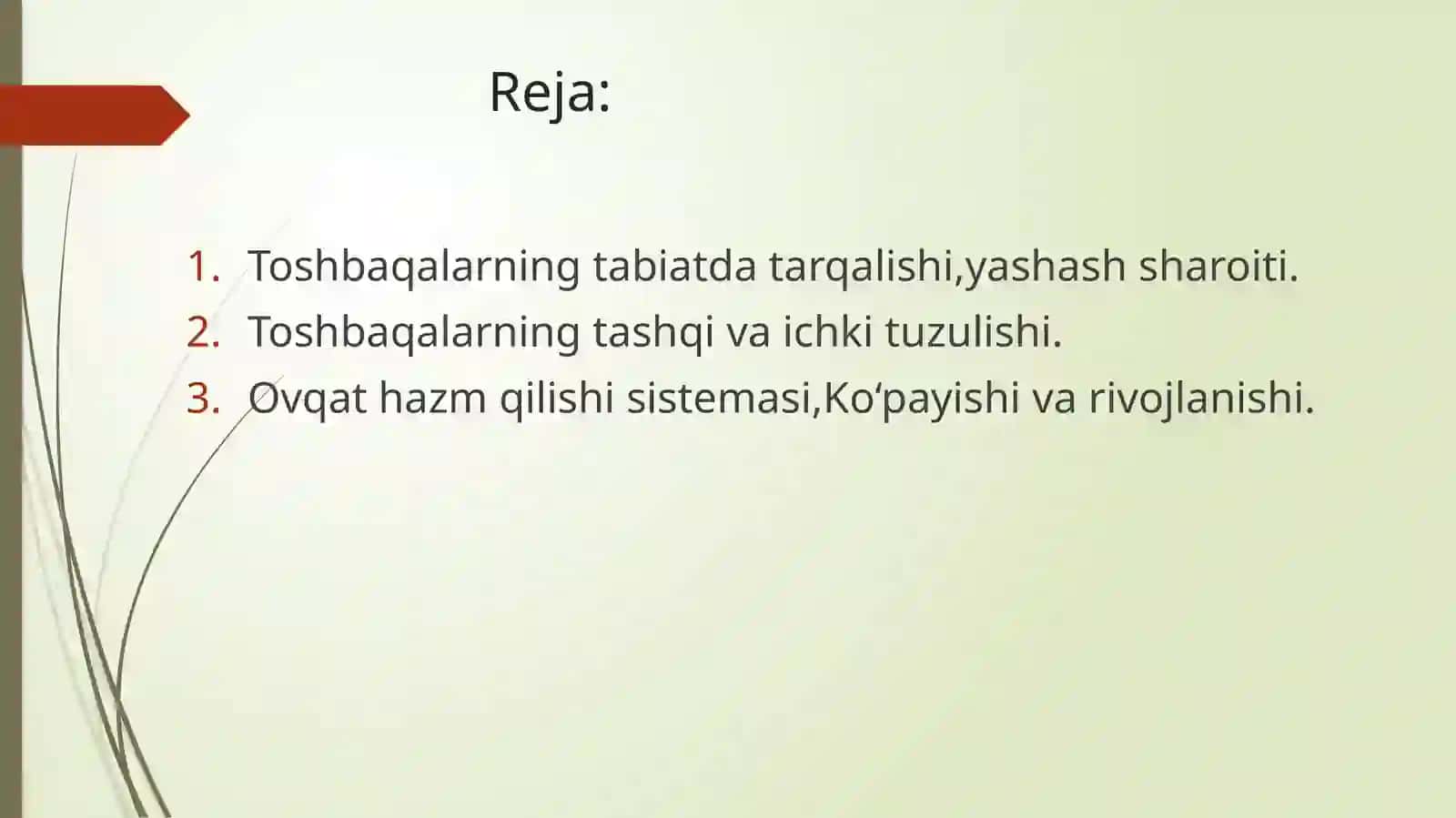 TOSHBAQALAR TUZULISHINING ASOSIY HUSUSSIYATLARI,TURLARI,TARQALISHI 2