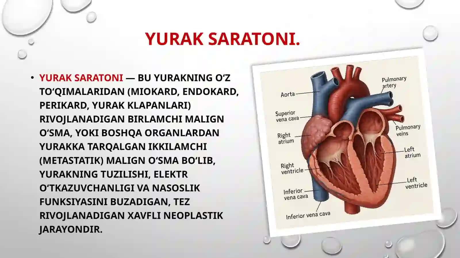 Ko‘krak qafasi organlari o‘smasi: yurak saratoni 2