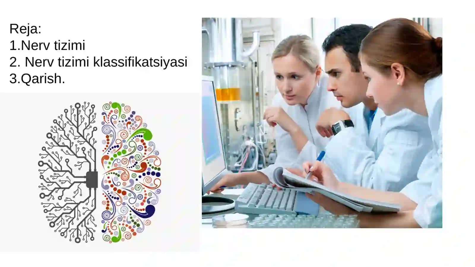 Nerv tizimi va qarish 2