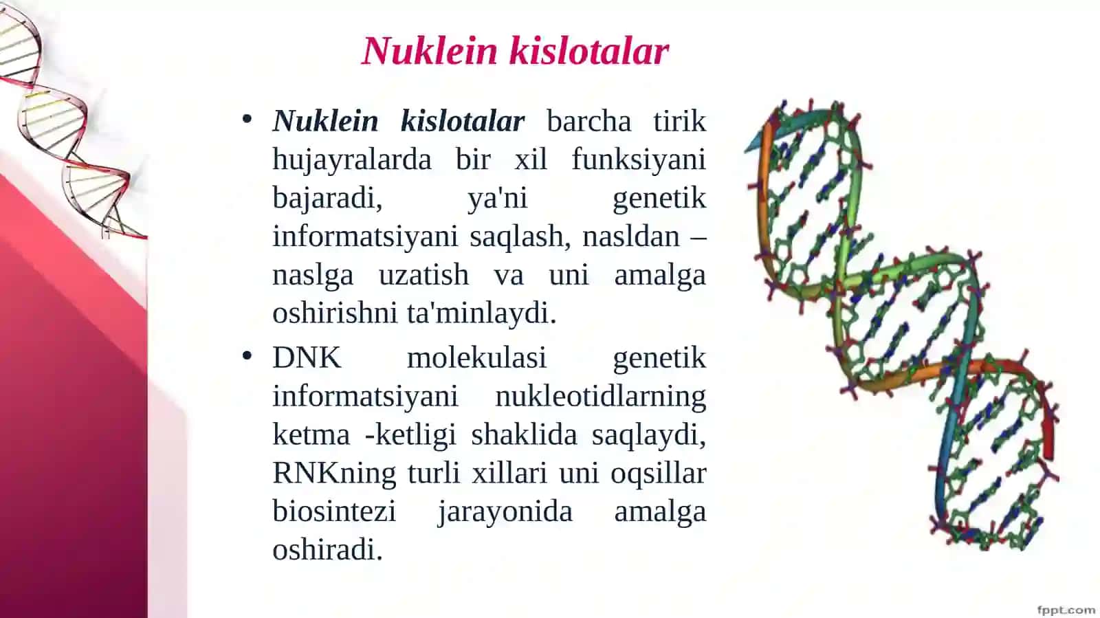 Nuklein kislotalar va irsiy belgilarni nasldan-naslga o‘tishdagi roli 2