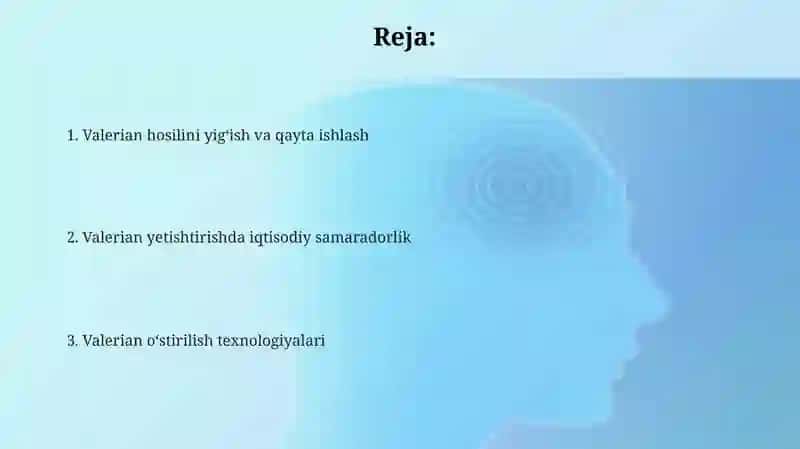 Valeriana oʻsimligini yetishtirish texnologiyasi 2