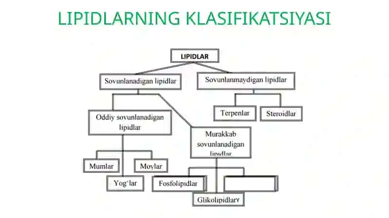 Lipidlar klassifikatsiyasi 2