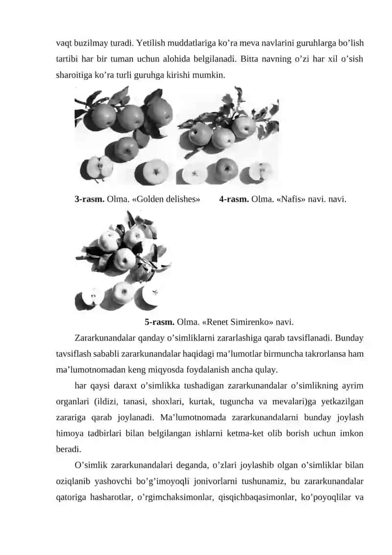 URUG'LI VA DANAKLI MEVALARNI SAQLASH USULLARI VA TEXNOLOGIYASI 2