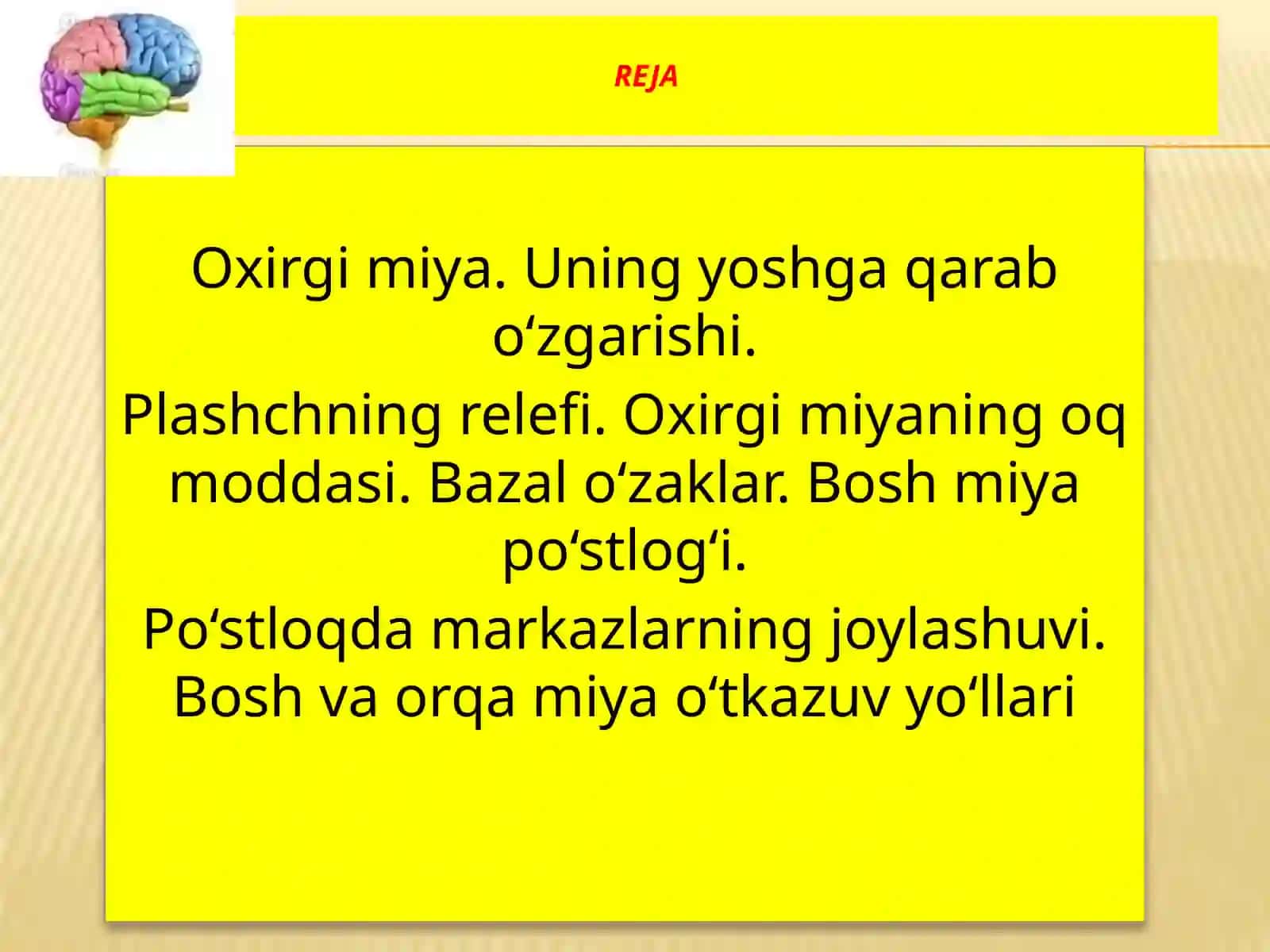 Oxirgimiya.Uning yoshga qarabo‘zgarishi. Plashchning reliyefi. Oxirgimiyaning oq moddasi. Bazal o‘zaklar. Boshmiyapo‘stlog‘i. Po‘stloqdamarkazlarning joylashuvi. Boshvaorqamiyao‘tkazuvyo‘llari 2