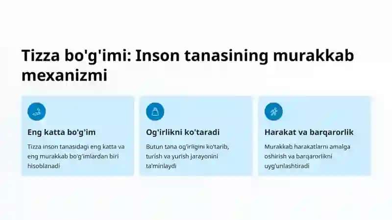 Tizza bo'g'imi 2
