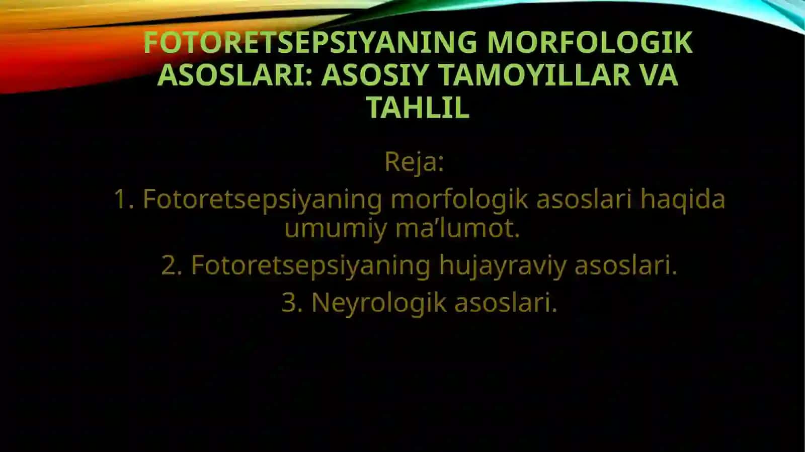 Fotoretsepsiya - Fotoretsepsiyaning morfologik asoslari 2