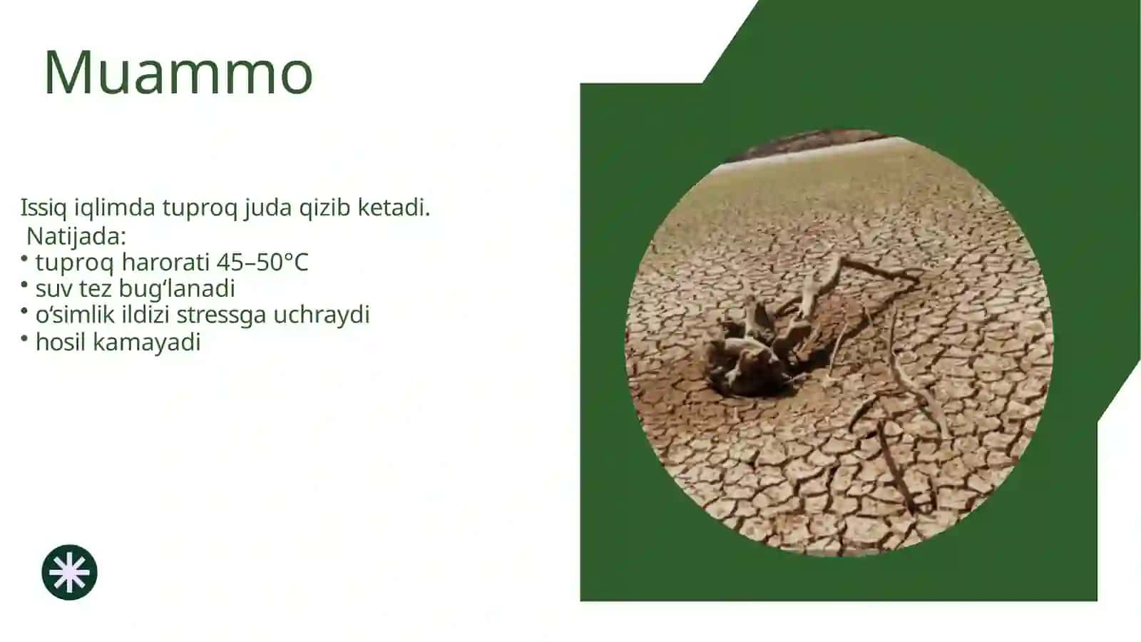 Sovuq tuproq texnologiyasi 2